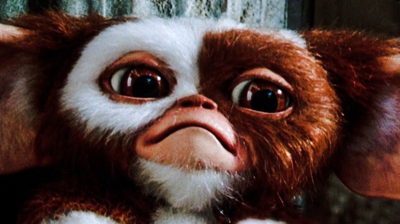 Gizmo looking sad Gremlins