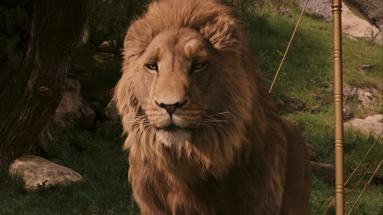 Close up of Aslan