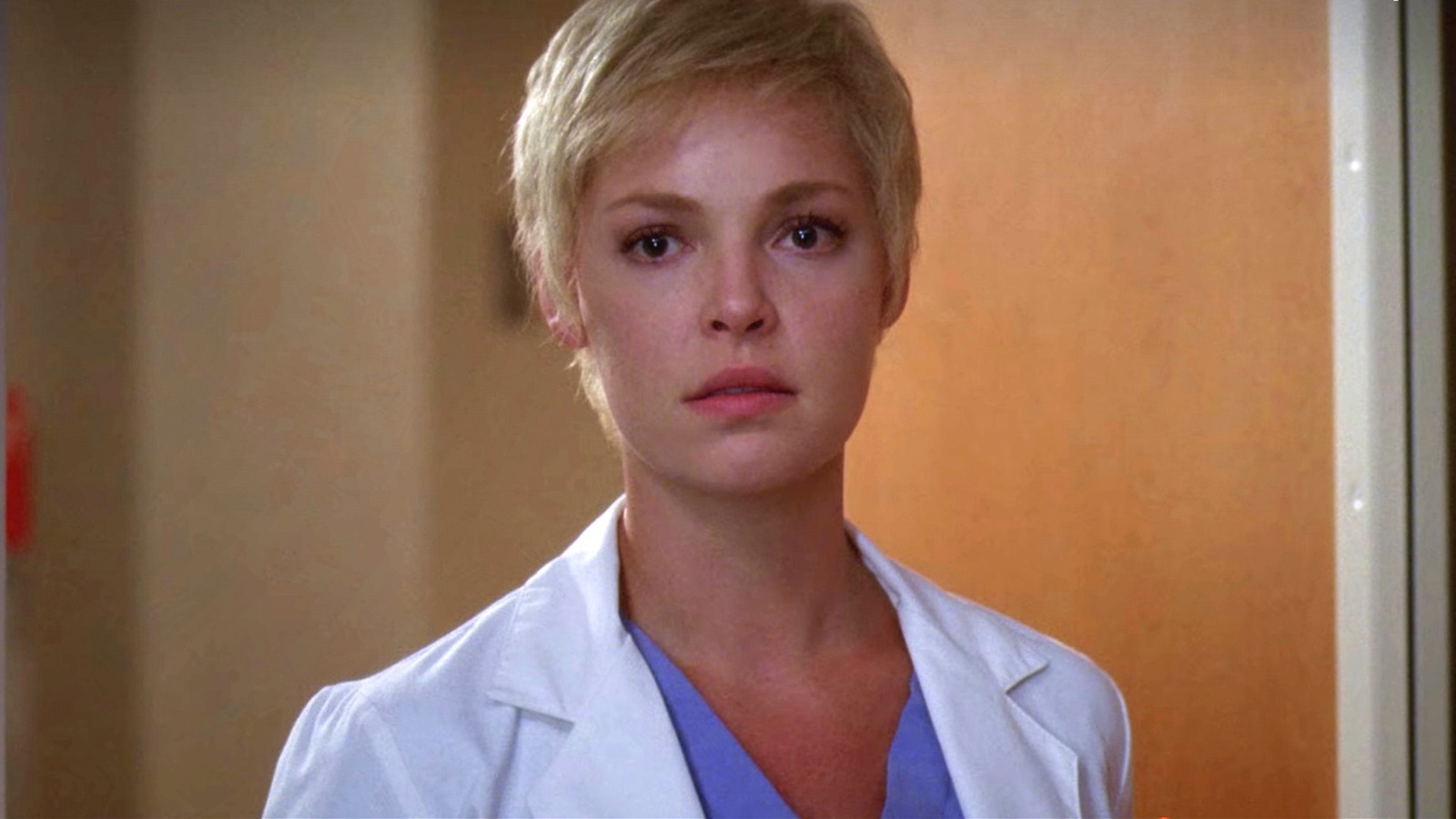 Grey's Anatomy: Katherine Heigl Was Caught In A Lose-Lose Situation