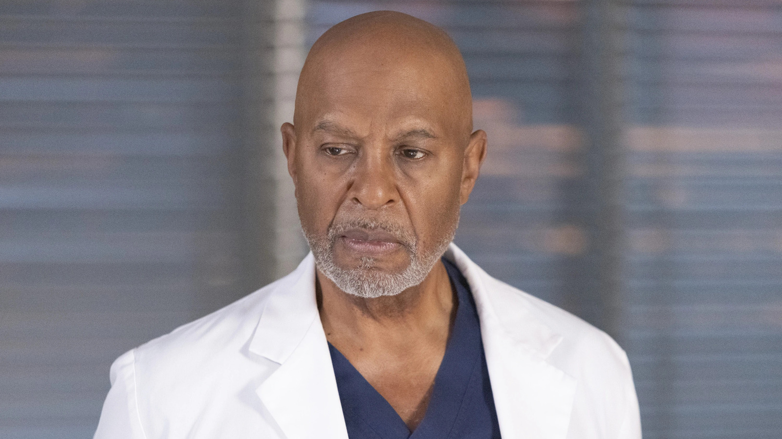 Grey's Anatomy: The Series' Best Chief Of Surgery, According To Fans