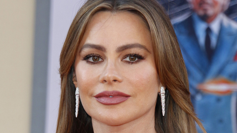 Sofia Vergara at movie premiere