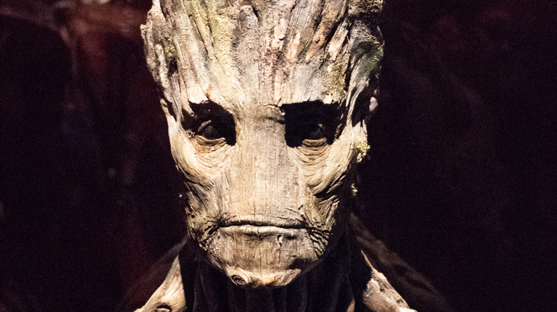 Groot staring ahead