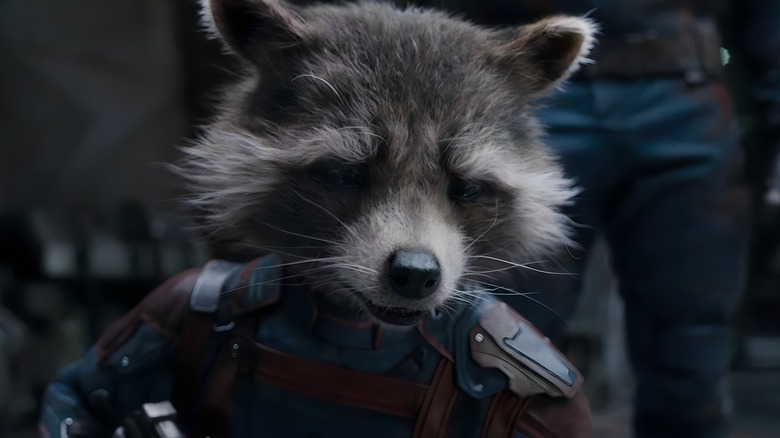 Rocket looking sad