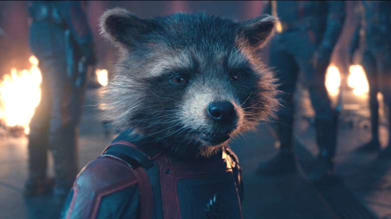 Rocket Raccoon in front of Guardians