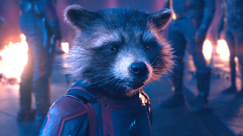 Rocket looking sad