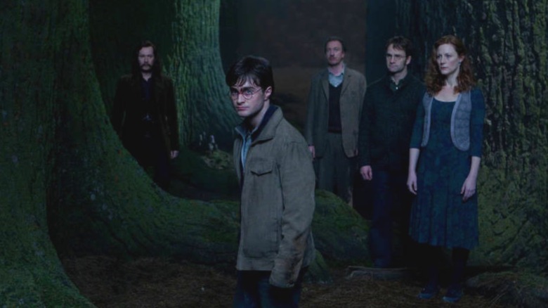 Harry with loved ones behind him in forest