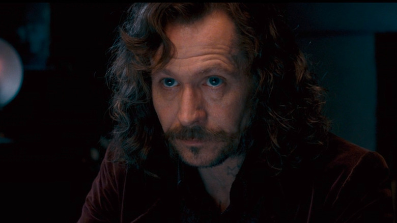 Sirius Black talking to Harry