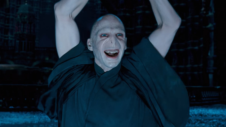 Ralph Fiennes as Voldemort