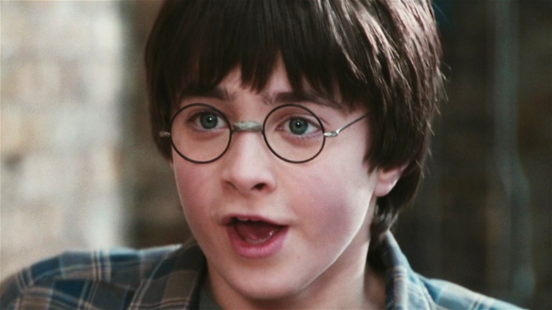 Daniel Radcliffe as Harry Potter