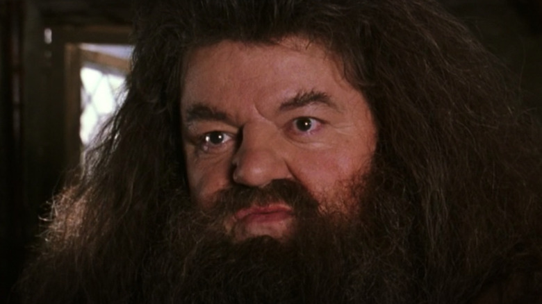 Robbie Coltrane as Hagrid