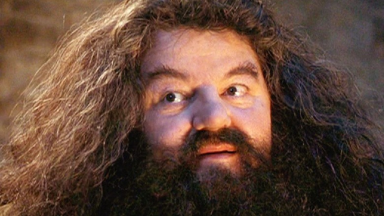 Hagrid in Harry Potter