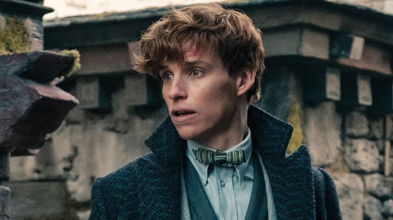 Eddie Redmayne as Newt Scamander