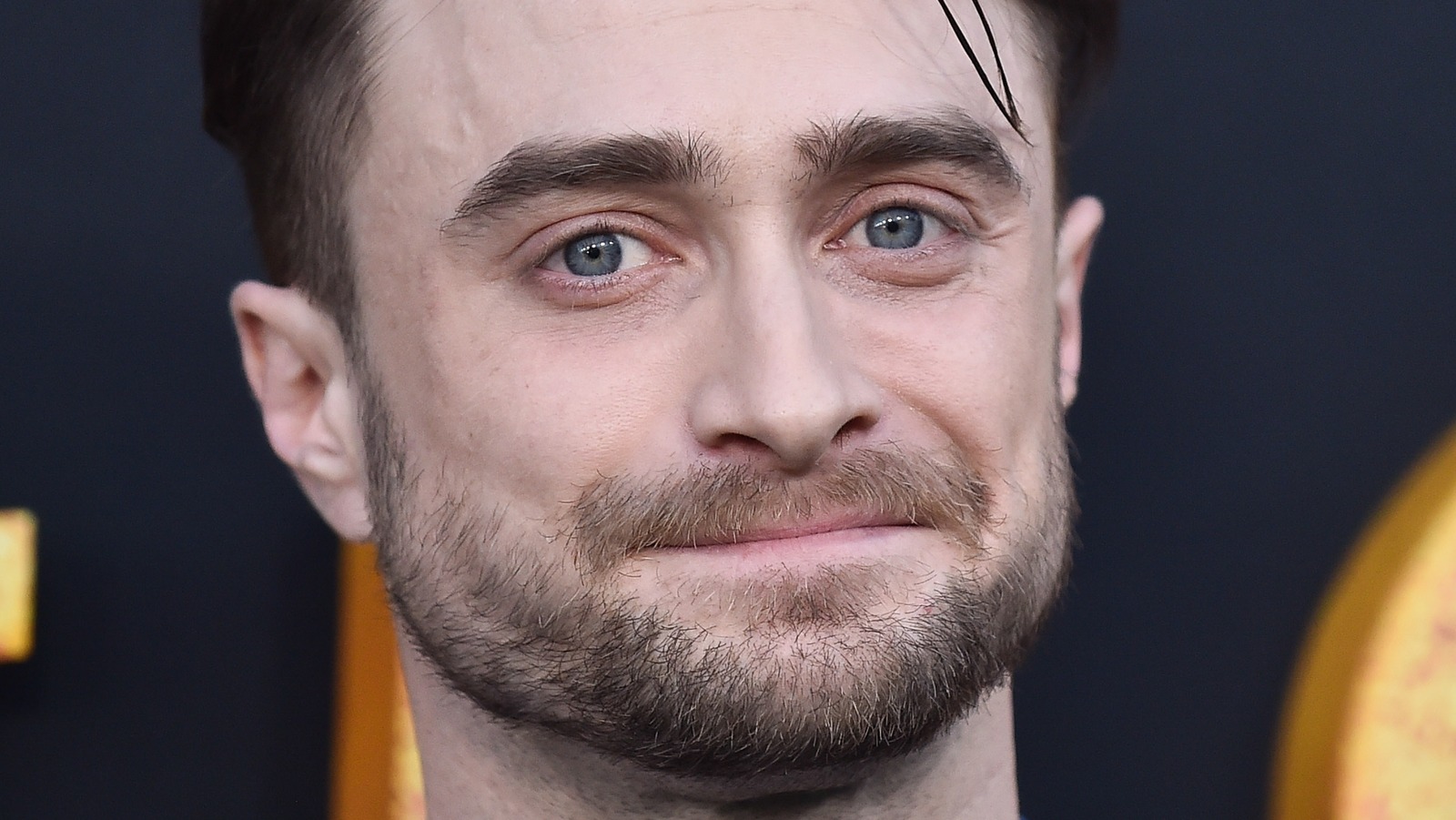 Harry Potter's Daniel Radcliffe Almost Had A Role In Everything