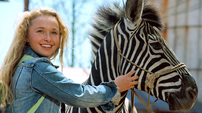 Hayden with a zebra