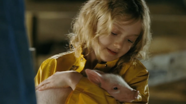 Charlottes Web Fern Holding Wilbur