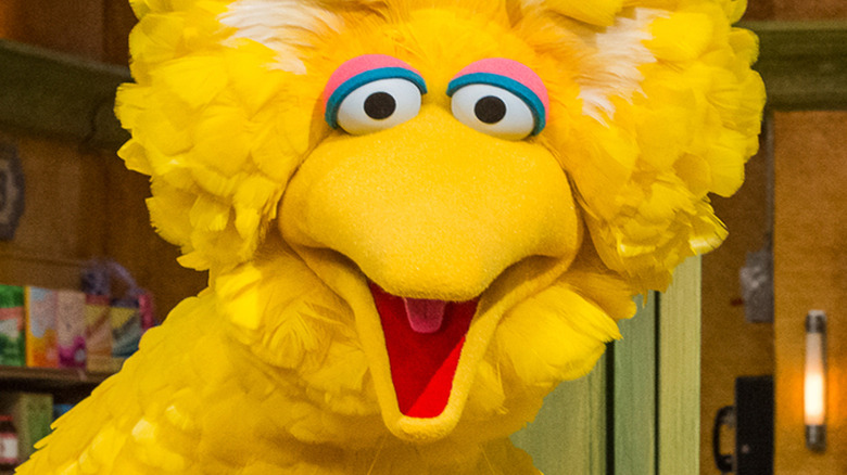 Sesame Street Big Bird Face