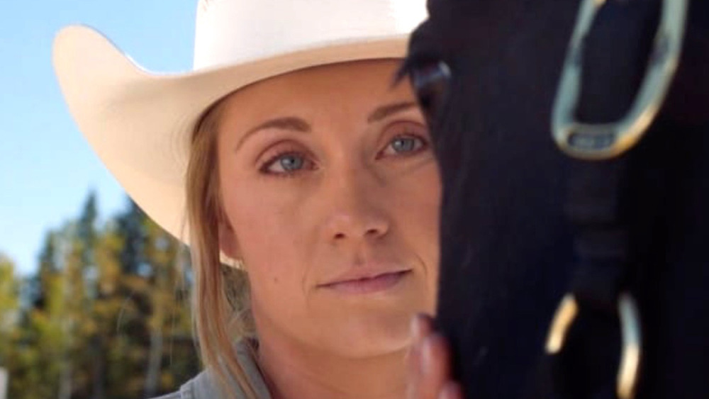 Heartland Amy Petting Horse