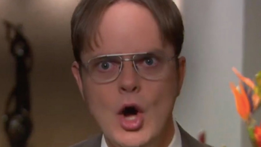 Rainn Wilson as Dwight Schrute