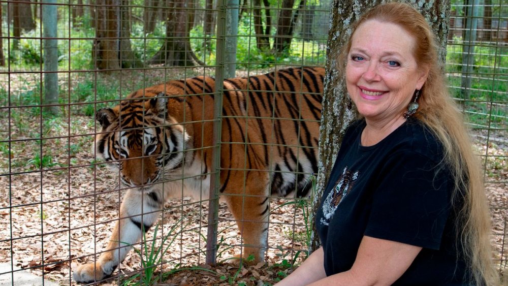 Carole Baskin and tiger from Tiger King