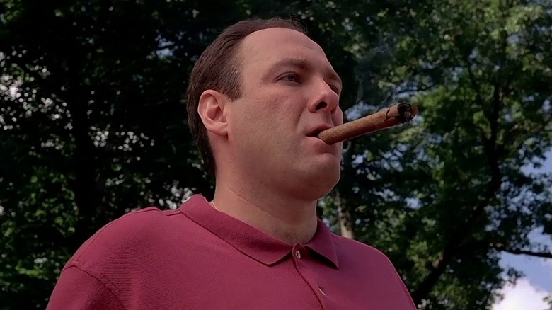 James Gandolfini as Tony Soprano on 'The Sopranos'