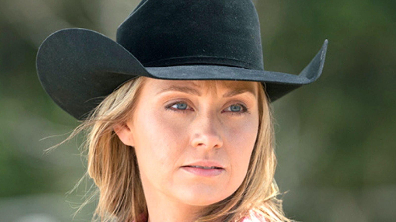 Here's How You Can Watch Every Season Of Heartland