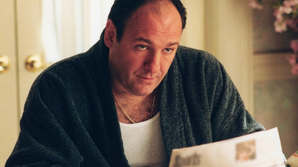 James Gandolfini as Tony Soprano on The Sopranos