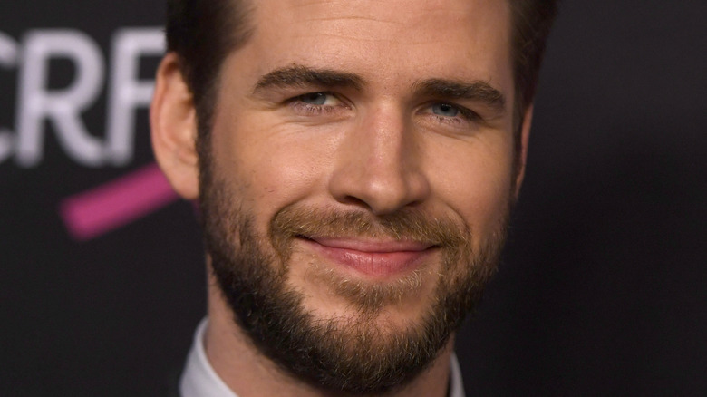 Liam Hemsworth slight smile