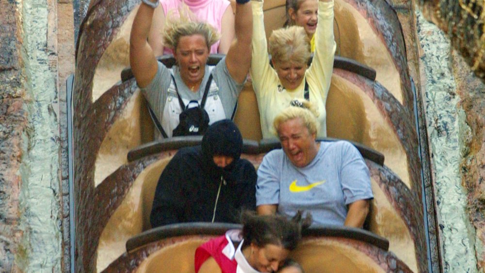 Guests on Splash Mountain