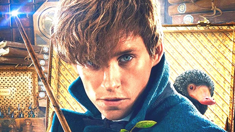 Newt Scamander poses dashingly