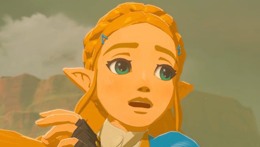 Princess Zelda surprised
