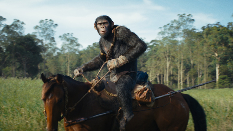 Noa riding a horse (2024)