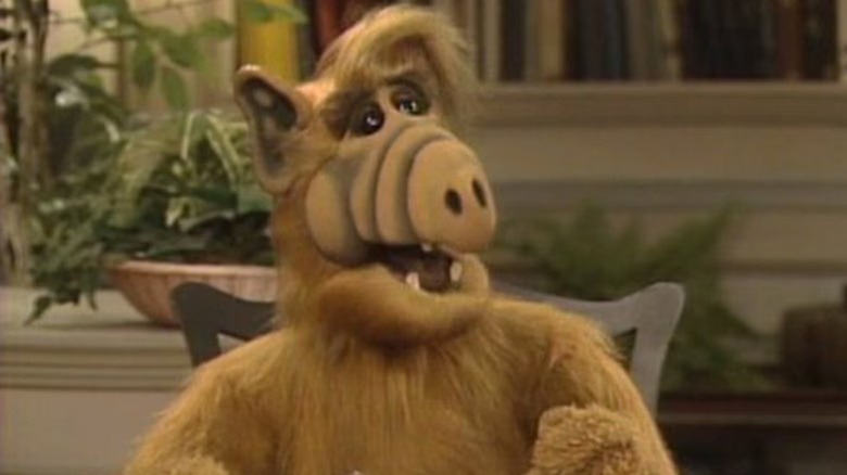 Alf looking pleased at the dinner table in "ALF" (1986)