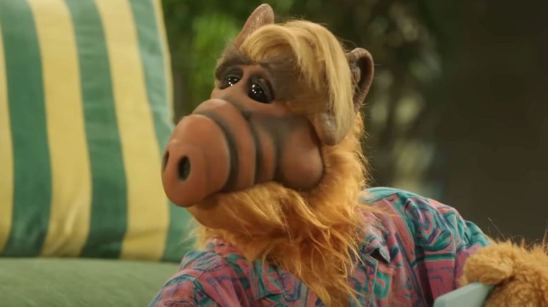 ALF looking quizzical in 