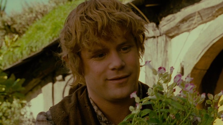 Sam looking at flowers