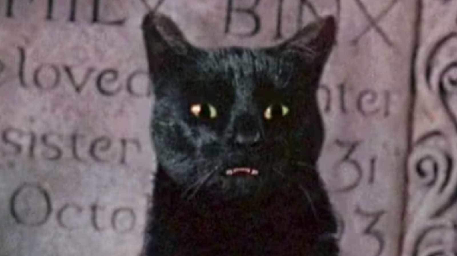Hocus Pocus 2 Director Teases A Clever Binx Return