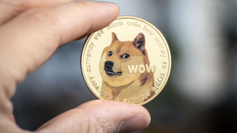 A person holding a Dogecoin