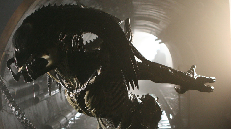 Predalien in the rain