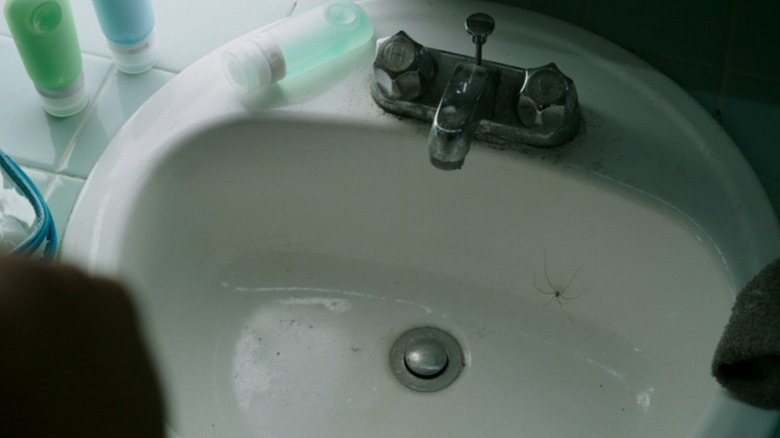 spider in Underwater