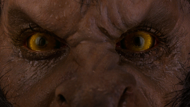 David turning into a wolf