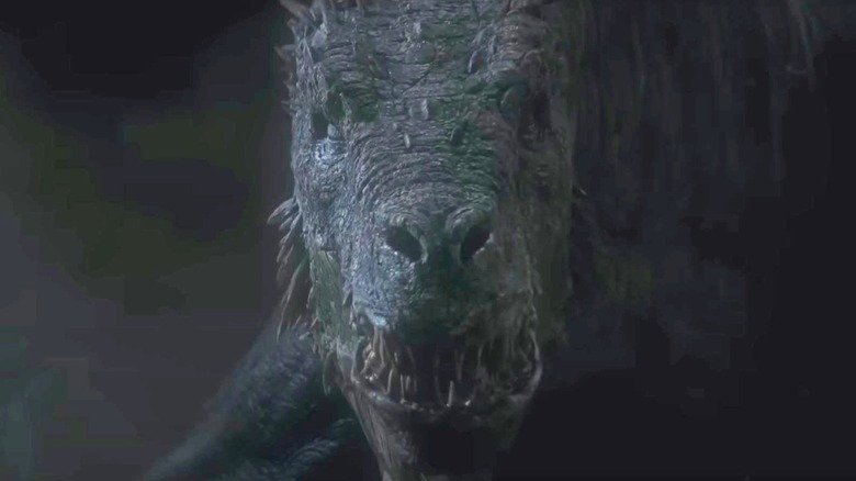 Vhagar showing its teeth