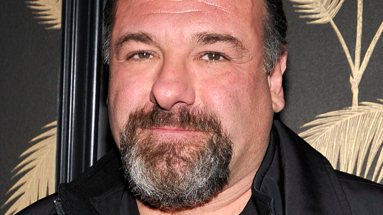 James Gandolfini at a premiere event