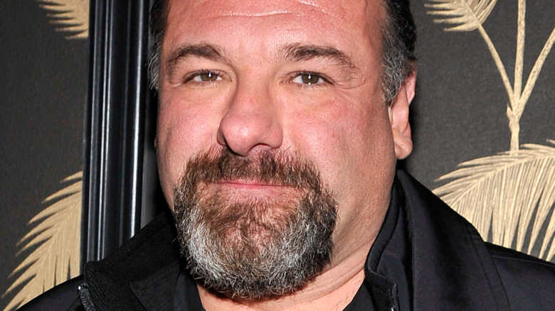 James Gandolfini at a premiere event
