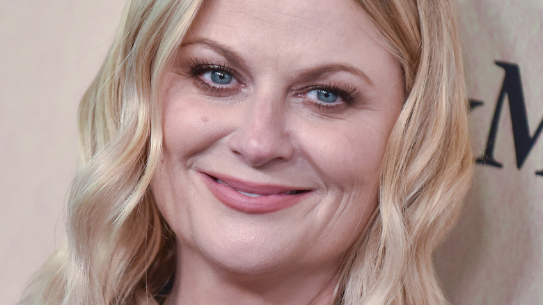 Amy Poehler smiling