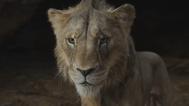 A young Scar with a fresh cut over his eye in "Mufasa: The Lion King."