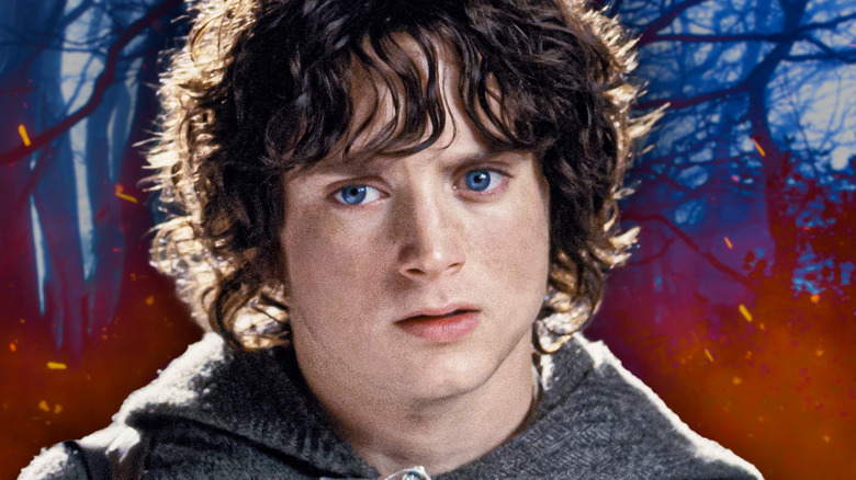 Frodo looking troubled with trees and mist behind him