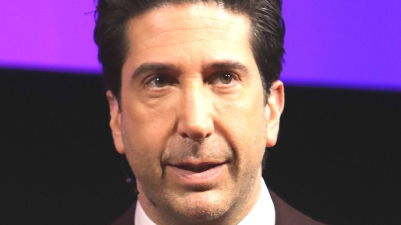 Actor David Schwimmer at event