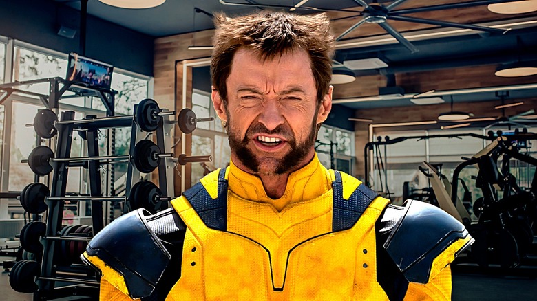 Wolverine in the gym
