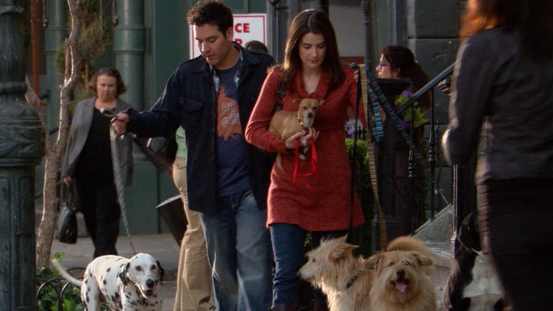 Ted walks the dogs with Robin
