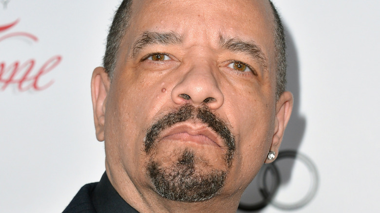 Ice-T aka Fin Tutuola  