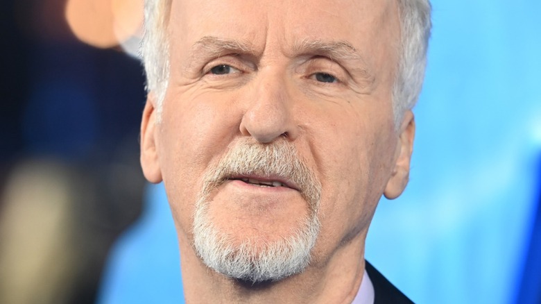 James Cameron at film premiere